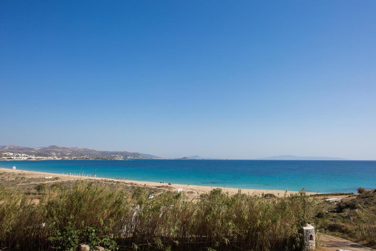 Naxian Riviera Exclusive Seafront Suites, Junior Suite Agios Prokopios  Dış mekan fotoğraf